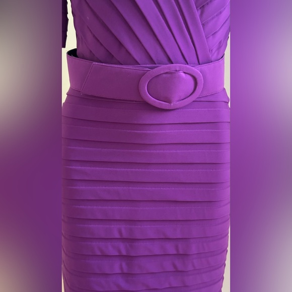 ADRIANNA PAPELL Short Sleeve, Form Flattering Purple Pleated Dress. V Neck Sz 6. - Picture 6 of 15